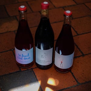 Le Fruit c'est Chic Tutti Frutti - Lapins Des Vignes - raphael-beysang-emelie-hurtubise