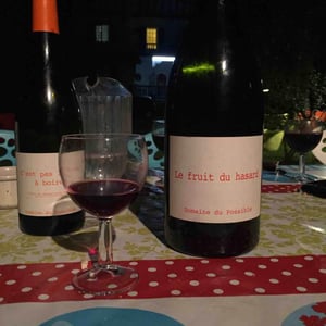 Le Fruit du Hasard - Domaine du Possible - loic-roure