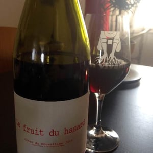 Domaine du Possible - Loïc Roure - Le Fruit du Hasard