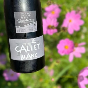 Le gallet Blanc - François Villard - François Villard -2019