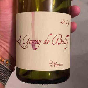 le gamay de bully - Domaine Henri Naudin-Ferrand - Claire Naudin -2023