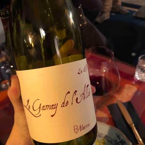 Le Gamay de L'Allié - Domaine Henri Naudin-Ferrand - claire-naudin