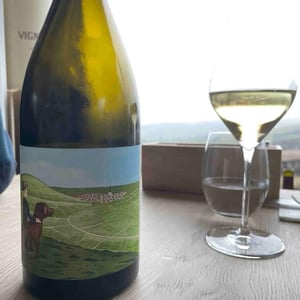 Le Gamin du Terroir (Non dosé) - Champagne Romain Henin - Romain Henin 