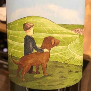 Le Gamin du Terroir (Non dosé) - Champagne Romain Henin - romain-henin