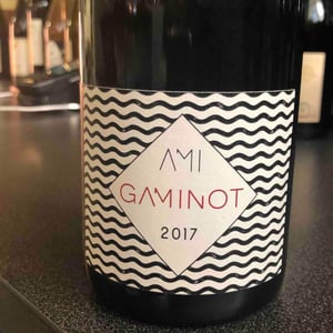Domaine Ami - Paul Marchand-Perarnau & Willy Roulendes - Le Gaminot