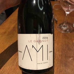 Domaine Ami - Paul Marchand-Perarnau & Willy Roulendes - Le Gaminot
