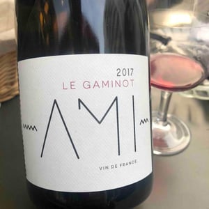 Domaine Ami - Paul Marchand-Perarnau & Willy Roulendes - Le Gaminot