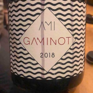 Domaine Ami - Paul Marchand-Perarnau & Willy Roulendes - Le Gaminot