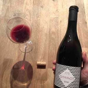 Le Gaminot - Domaine Ami - paul-marchand-perarnau-willy-roulendes