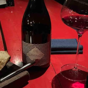 Domaine Ami - Paul Marchand-Perarnau & Willy Roulendes - Le Gaminot