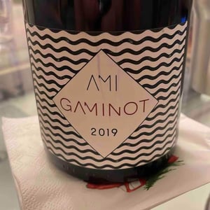 Domaine Ami - Paul Marchand-Perarnau & Willy Roulendes - Le Gaminot