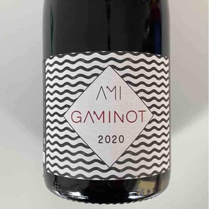 Domaine Ami - Paul Marchand-Perarnau & Willy Roulendes - Le Gaminot