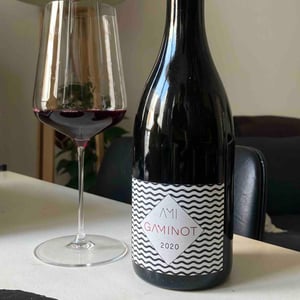 Le Gaminot - Domaine Ami - Paul Marchand-Perarnau & Willy Roulendes 