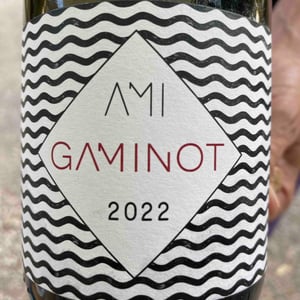 Le Gaminot - Domaine Ami - Paul Marchand-Perarnau & Willy Roulendes 