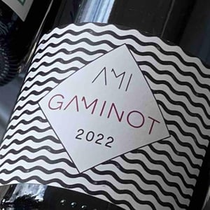 Le Gaminot - Domaine Ami - paul-marchand-perarnau-willy-roulendes