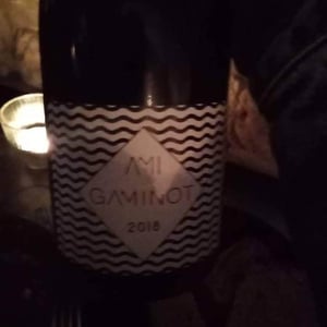 Domaine Ami - Paul Marchand-Perarnau & Willy Roulendes - Le Gaminot