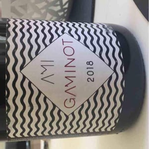 Domaine Ami - Paul Marchand-Perarnau & Willy Roulendes - Le Gaminot