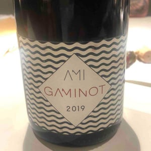 Domaine Ami - Paul Marchand-Perarnau & Willy Roulendes - Le Gaminot