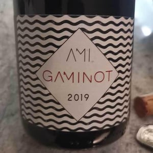 Domaine Ami - Paul Marchand-Perarnau & Willy Roulendes - Le Gaminot