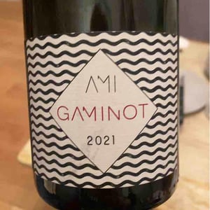 Domaine Ami - Paul Marchand-Perarnau & Willy Roulendes - Le Gaminot