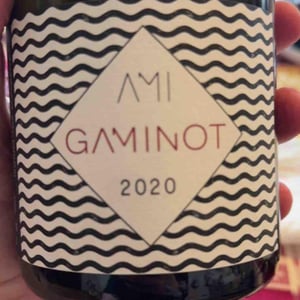 Le Gaminot - Domaine Ami - Paul Marchand-Perarnau & Willy Roulendes 