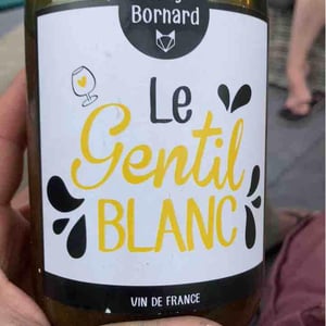 Le Gentil Blanc - Domaine Bornard - Tony Bornard 