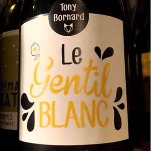 Le Gentil Blanc - Domaine Bornard - Tony Bornard 