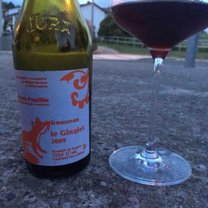Le Ginglet 2009