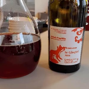Le Ginglet - Domaine Bornard - tony-bornard