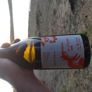 Domaine Bornard - Tony Bornard - Le Ginglet