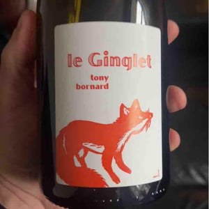 Le Ginglet - Domaine Bornard - tony-bornard