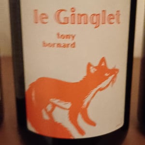 Le Ginglet - Domaine Bornard - tony-bornard
