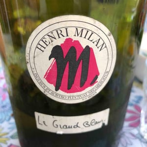 Domaine Milan - Emma, Théophile & Henri Milan - Le Grand Blanc