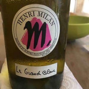 Domaine Milan - Emma, Théophile & Henri Milan - Le Grand Blanc