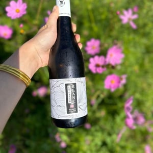Le Grand Blanc - Domaine Milan - Emma, Théophile & Henri Milan 