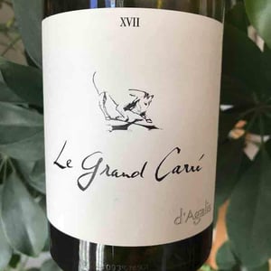 Mas d'Agalis - Lionel Maurel - Le Grand Carré