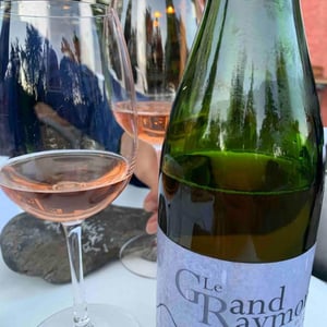 Le Grand Raymond Vin Rosé Naturel Pétillant 2020 - Le Grand Raymond - Guillaume Chanal 