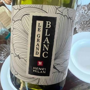 Brut Blanc - Domaine Milan - emma-theophile-henri-milan