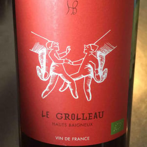 Le Grolleau - Les Hauts Baigneux - nicolas-grosbois-philippe-mesnier