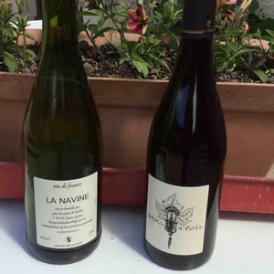 Les Vignes de Babass - Sebastien Dervieux - Le Groll'n Roll
