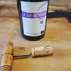 Domaine de Mirebeau - Bruno Rochard - Le Gué des Mûriers