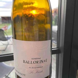 Le Hardi - Domaine Ballorin - Gilles Ballorin 