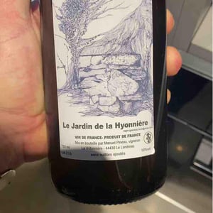 Le jardin de la Hyonnière (Folle Blanche Macération) - Manuel Pineau - Manuel Pineau (CLOSED in 2021) 