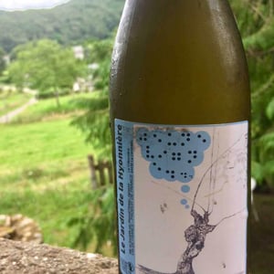Le Jardin De La Hyonnière (Jeune Vigne) - Manuel Pineau - manuel-pineau-closed-in-2021