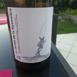 Le Jardin De La Hyonniere (Vieille Vigne) - Manuel Pineau - manuel-pineau-closed-in-2021