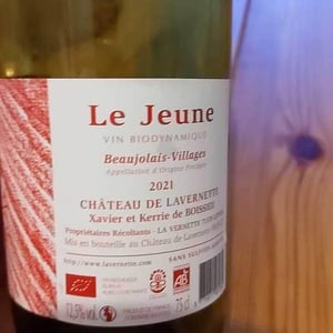 Le Jeune - Château de Lavernette - xavier-kerrie-de-boissieu