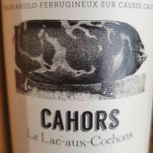 Le Lac-Aux-Cochons - Château Combel La Serre - sophie-julien-ilbert