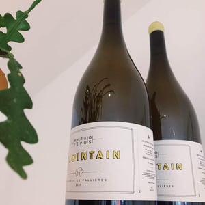 Le Lointain (Magnum) - Myrko Tépus - myrko-tepus -2020