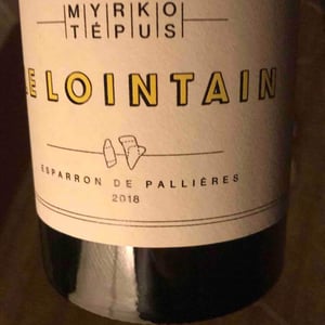 Le Lointain - Myrko Tépus - myrko-tepus