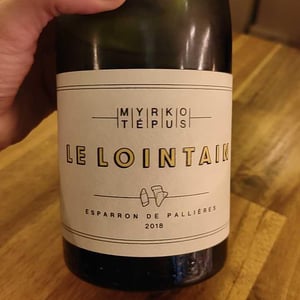 Le Lointain - Myrko Tépus - Myrko Tépus 